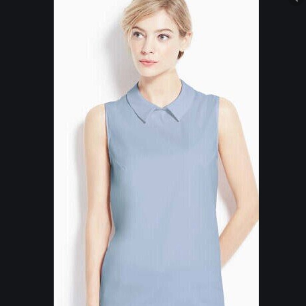 Ann Taylor Collared Sleeveless Shirt